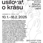 Random image: 2025 -Tise-usilovat-o-krasu-pozvanka