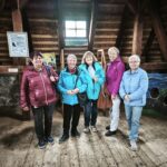 Random image: 20251008_Týnec nS (18)