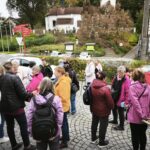 Random image: 20251008_Týnec nS (32)