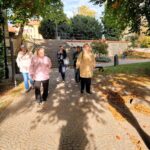 Random image: 20251020_Procházka po stromech v centru města  (2)