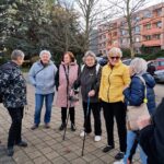 Random image: 20251118_jehličnany Šipší (2)