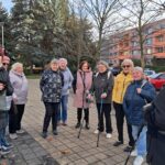 Random image: 20251118_význmané stromy šipší (2)