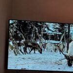 Random image: 20260325_promítání s Vojtou T (6)