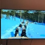 Random image: 20260325_promítání s Vojtou T (7)