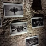 Random image: 20260402_GASK (2)