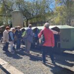 Random image: 20260429_Kladruby Stříbro (1)