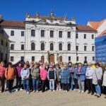 Random image: 20260429_Kladruby Stříbro (2)