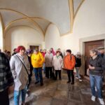 Random image: 20260429_Kladruby Stříbro (3)