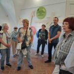 Random image: 20260520_Kamenice nad Lipou (13)
