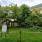 Random image: 20260520_Kamenice nad Lipou (3)