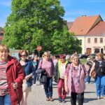 Random image: 20260520_Kamenice nad Lipou (8)